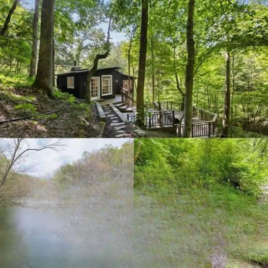 A Quiet Cabin Retreat in Fairview Offering Privacy, Nature, and Rustic Comfort