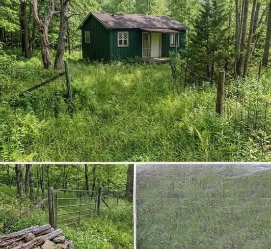 A Peaceful Retreat in Southeastern Ohio: How Simple Living and Cabin Life Are Redefining Modern Lifestyles