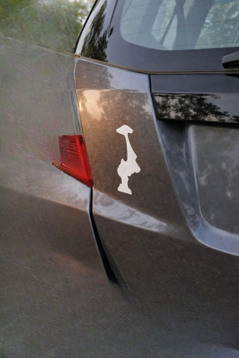 Why Upside-Down Washington Stickers Are Suddenly Everywhere — And What They Really Mean