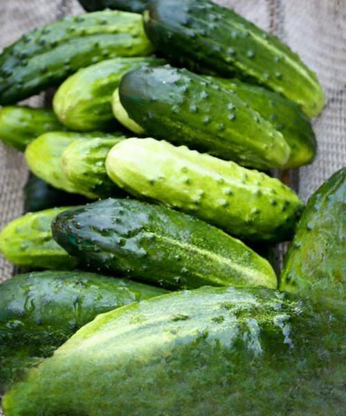 Easy and Delicious Ways Cucumbers Can Improve Your Everyday Health