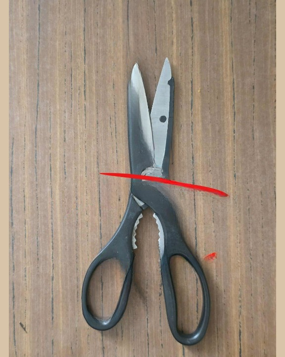 What Is the Strange Toothed Section on Kitchen Scissors Actually Used For?