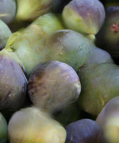 Doctors Reveal Why Figs Have Long Been Associated With Bone, Joint, and Digestive Health