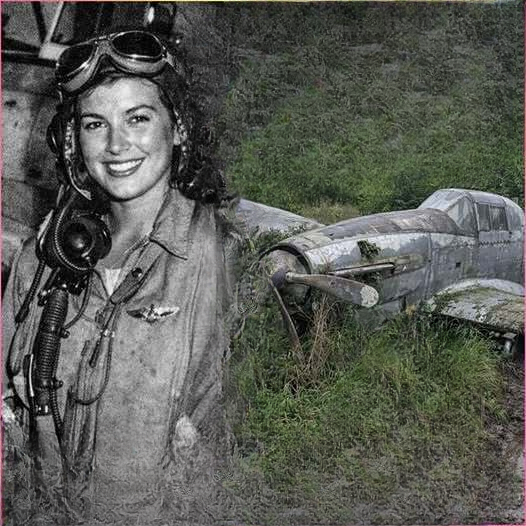 World War II Pilot Disappeared During a Mission — Decades Later, a Forest Discovery Revealed the Truth