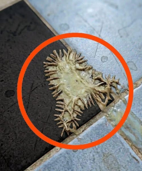 The Unexpected Discovery in Our Hotel Room That Changed the Entire Trip