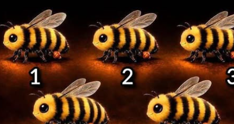 What Your Choice in This “Impossible Image” Might Say About Your Personality