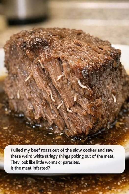 Why White “Stringy Worm-Like” Pieces Appear in Slow-Cooked Beef
