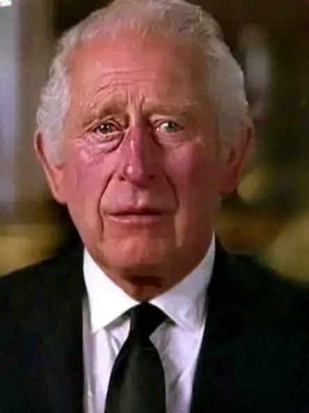 King Charles III: Public Service, Royal Responsibility, and Ongoing Health Updates