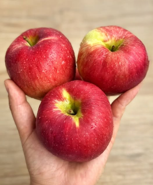 Doctors Explain Why Apples Continue to Be One of the Healthiest Everyday Foods