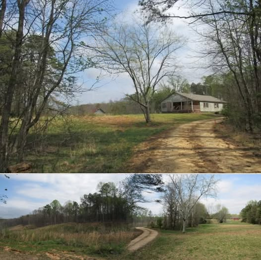 Ten Acres of Opportunity: Why Affordable Rural Land Is Attracting Attention Again