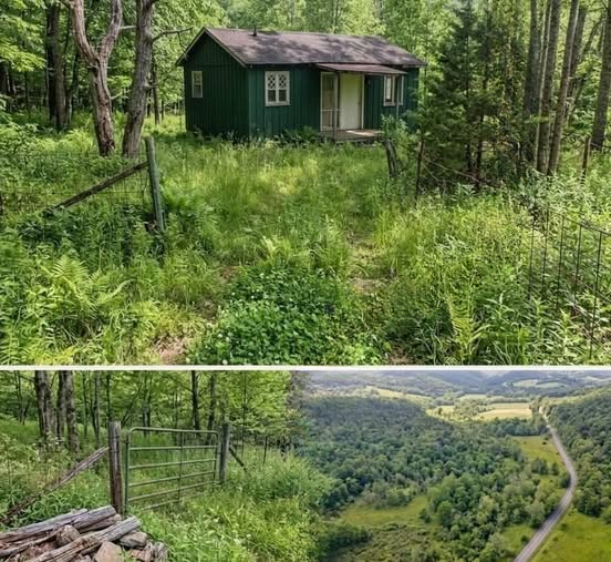 This $19,000 Ohio Cabin Is So Isolated, It Feels Like the World Disappears