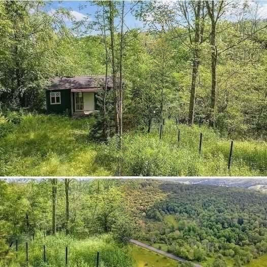 Escape the Noise: A Peaceful 1.5-Acre Retreat Surrounded by Nature Now Offered at Just $19,000
