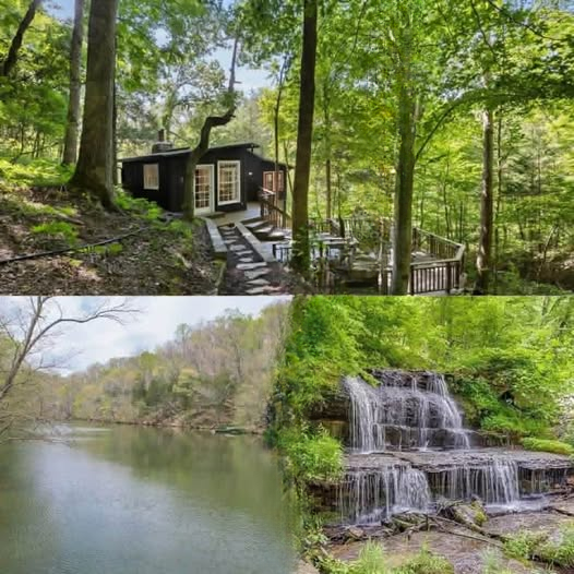 Private Cabin Retreat on Expansive Acreage in Fairview, Tennessee