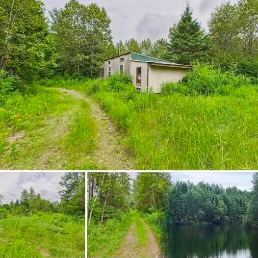Off-Grid Wilderness Camp on 24 Acres in Maine’s North Woods