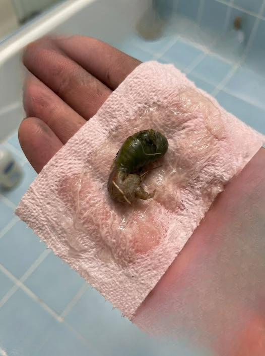 The Unexpected Bathroom Discovery That Taught Us a Valuable Lesson