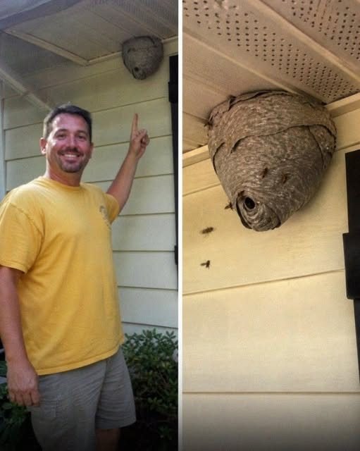 A Child’s Unexpected Comment During a Family Crisis Led to a Surprising Discovery