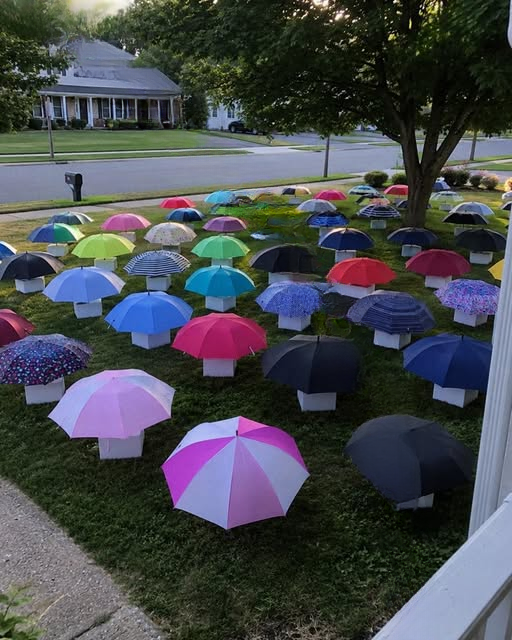After My Son Shared His Umbrella, Our Family Received a Mysterious Gift