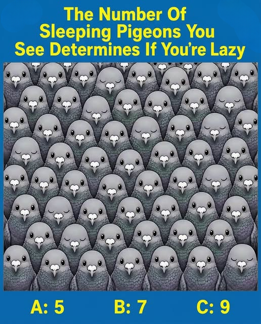 How Many Sleeping Pigeons Can You Find? Test Your Attention to Detail