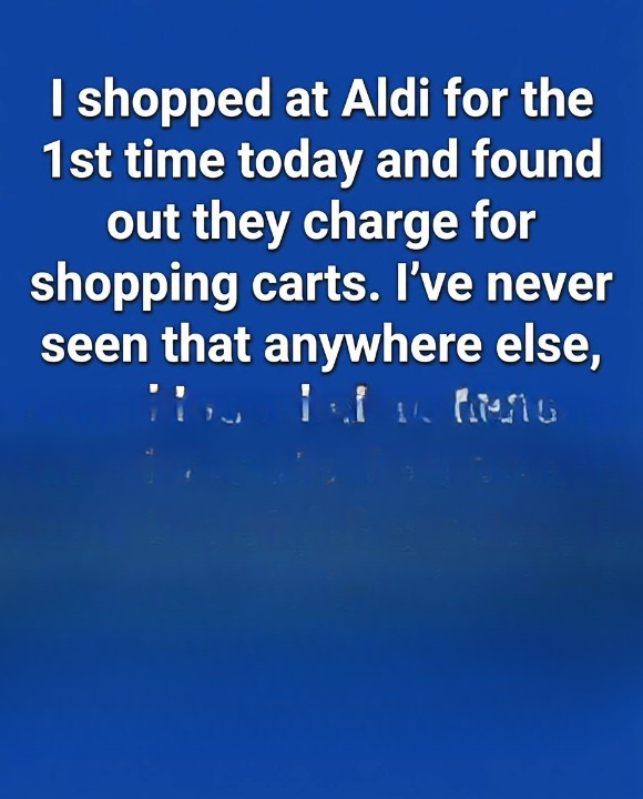 Why Does Aldi Ask for a Coin? The Clever Idea Behind Its Shopping Cart System