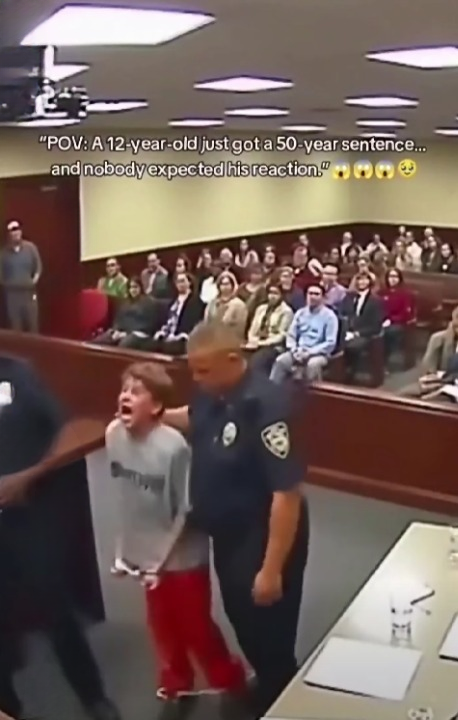 Juvenile Sentencing: How the Justice System Balances Accountability and Rehabilitation