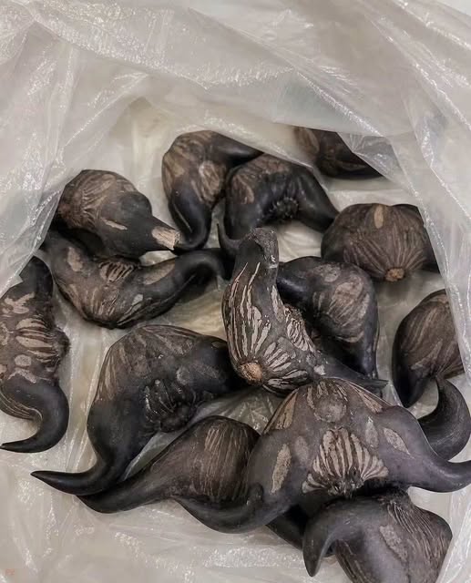My Neighbor Gave Me a Bag of These Strange Fruits — What Are They and How Do You Eat Them?