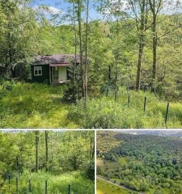 Private 31-Acre Northern Michigan Property Offers a Home, Pond, Barn, and Outdoor Recreation