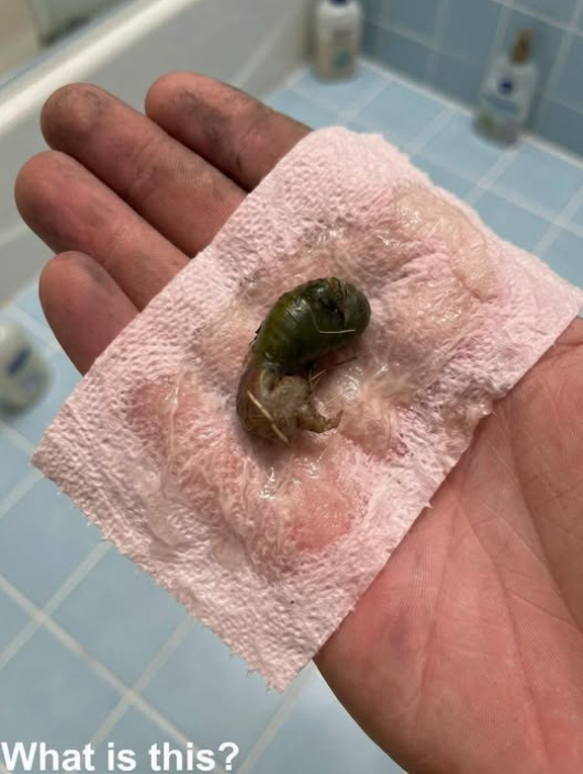 A Strange Object on the Bathroom Floor Turned Out to Have a Simple Explanation
