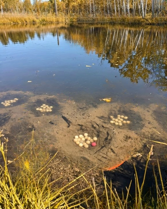 The Mysterious Lake That Caught My Attention—What Was Really Hidden Beneath the Water?